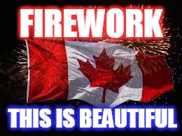 FIREWORK; THIS IS BEAUTIFUL | made w/ Imgflip meme maker