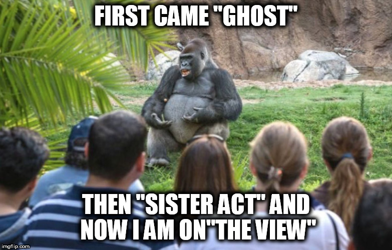 ted talk gorilla | FIRST CAME "GHOST"; THEN "SISTER ACT" AND NOW I AM ON"THE VIEW" | image tagged in ted talk gorilla | made w/ Imgflip meme maker