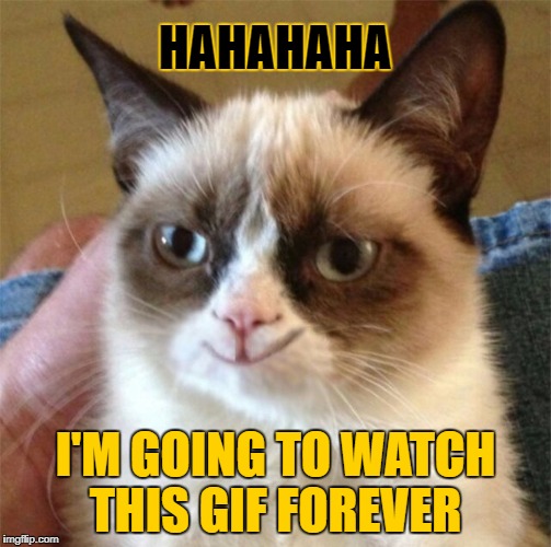 HAHAHAHA I'M GOING TO WATCH THIS GIF FOREVER | made w/ Imgflip meme maker