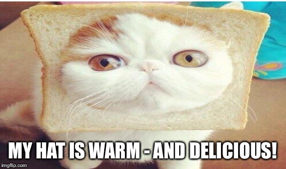 MY HAT IS WARM - AND DELICIOUS! | made w/ Imgflip meme maker