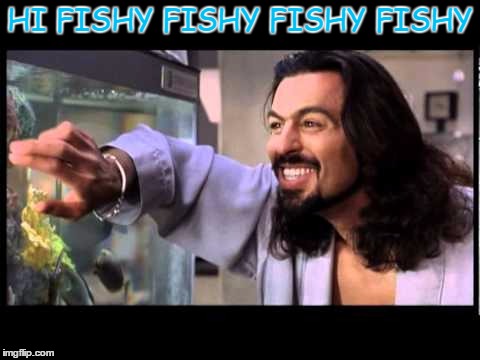Hi Fishy Fishy Fishy | HI FISHY FISHY FISHY FISHY | image tagged in hi fishy,memes,funny,coolness,do u want fisheys,cause this is how you get fisheys | made w/ Imgflip meme maker