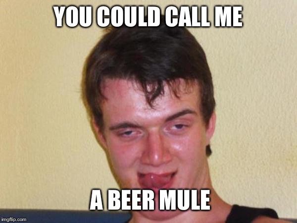 YOU COULD CALL ME A BEER MULE | made w/ Imgflip meme maker