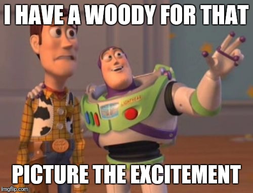 X, X Everywhere Meme | I HAVE A WOODY FOR THAT; PICTURE THE EXCITEMENT | image tagged in memes,x x everywhere | made w/ Imgflip meme maker
