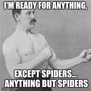 I'M READY FOR ANYTHING, EXCEPT SPIDERS... ANYTHING BUT SPIDERS | image tagged in overly manly man | made w/ Imgflip meme maker