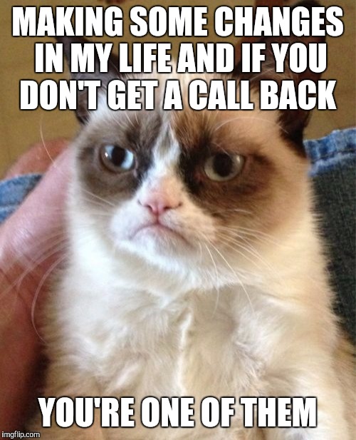 Savage voicemail | MAKING SOME CHANGES IN MY LIFE AND IF YOU DON'T GET A CALL BACK; YOU'RE ONE OF THEM | image tagged in memes,grumpy cat | made w/ Imgflip meme maker