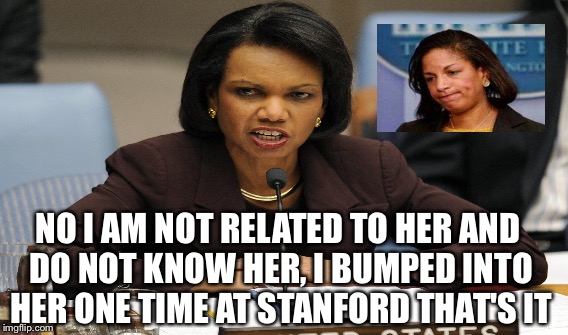 Rice | NO I AM NOT RELATED TO HER AND DO NOT KNOW HER, I BUMPED INTO HER ONE TIME AT STANFORD THAT'S IT | image tagged in rice,susan rice,obama | made w/ Imgflip meme maker