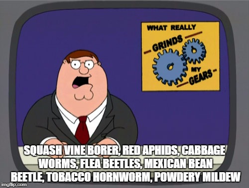 Peter Griffin News Meme | SQUASH VINE BORER, RED APHIDS, CABBAGE WORMS, FLEA BEETLES, MEXICAN BEAN BEETLE, TOBACCO HORNWORM, POWDERY MILDEW | image tagged in memes,peter griffin news | made w/ Imgflip meme maker