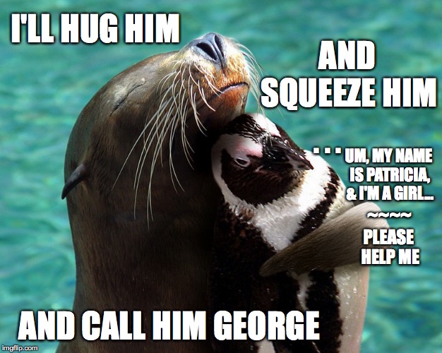 George? Is that you? | I'LL HUG HIM; AND; SQUEEZE HIM; . . . UM, MY NAME IS PATRICIA, & I'M A GIRL... ~~~~; PLEASE HELP ME; AND CALL HIM GEORGE | image tagged in hug,squeeze,george,please help | made w/ Imgflip meme maker