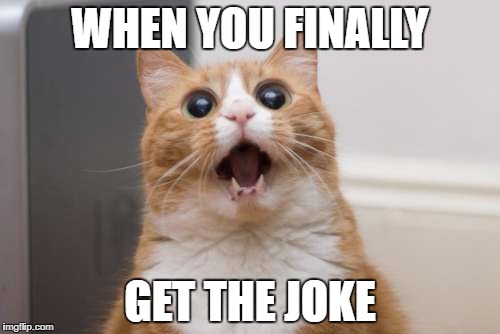 OH MY GOD cat | WHEN YOU FINALLY; GET THE JOKE | image tagged in joke | made w/ Imgflip meme maker