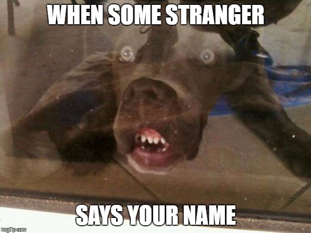 All The Time | WHEN SOME STRANGER; SAYS YOUR NAME | image tagged in bow wow | made w/ Imgflip meme maker