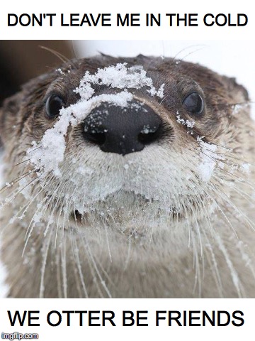 Let's Be Friends | DON'T LEAVE ME IN THE COLD; WE OTTER BE FRIENDS | image tagged in otter,friends,cold,snow,ice | made w/ Imgflip meme maker