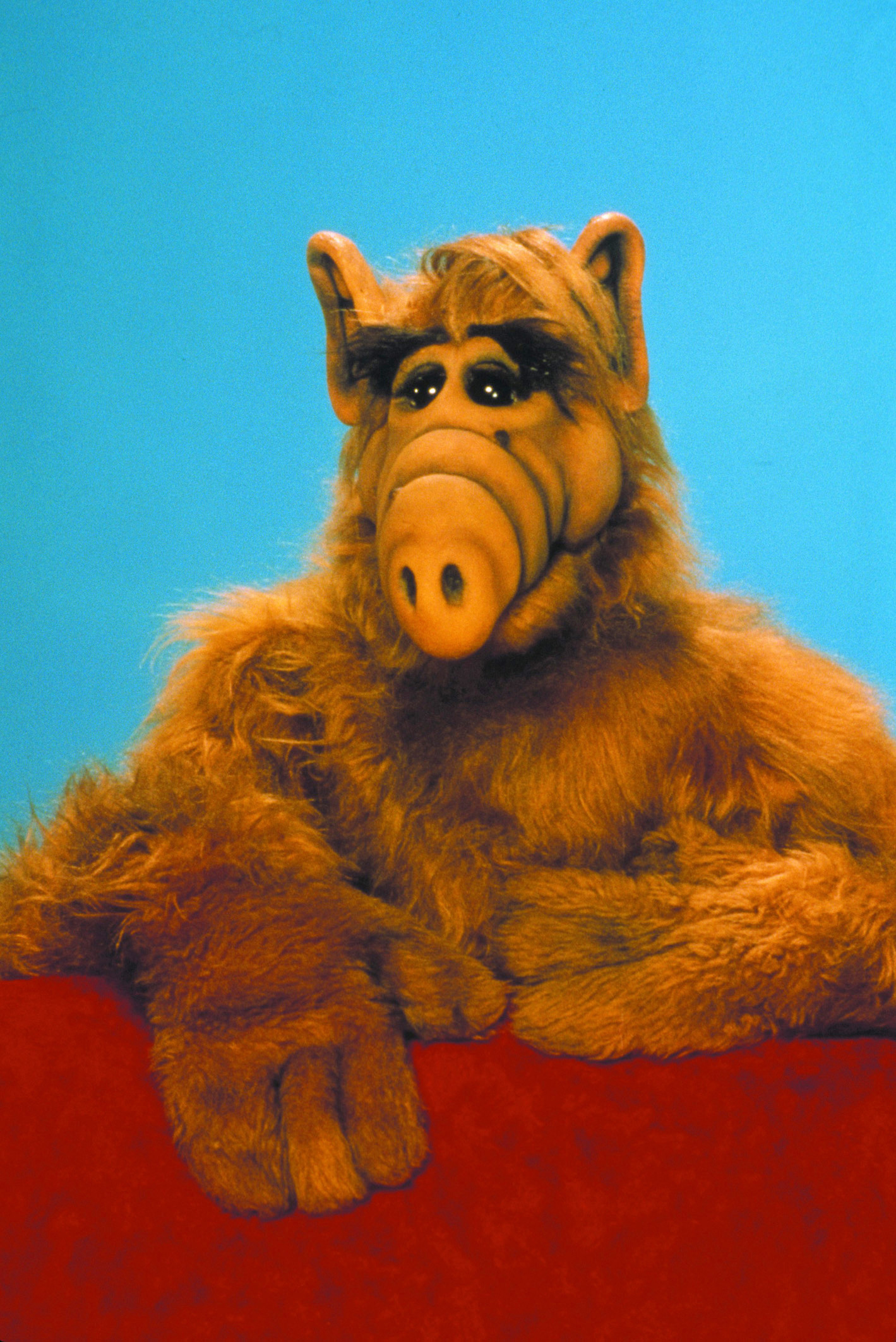 ALF Blank Meme Template