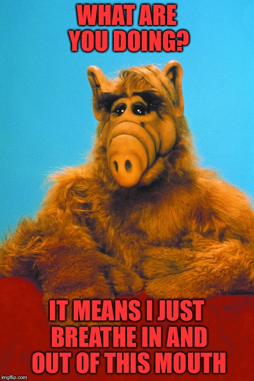 ALF | WHAT ARE YOU DOING? IT MEANS I JUST BREATHE IN AND OUT OF THIS MOUTH | image tagged in alf | made w/ Imgflip meme maker