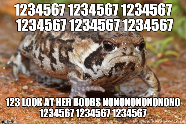 Grumpy Toad Meme | 1234567 1234567 1234567 1234567 1234567 1234567; 123 LOOK AT HER BOOBS NONONONONONONO 1234567 1234567 1234567 | image tagged in memes,grumpy toad | made w/ Imgflip meme maker