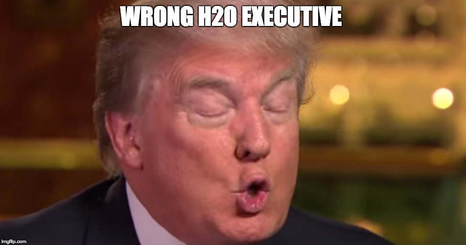 Trump "wrong" meme | WRONG H2O EXECUTIVE | image tagged in trump wrong meme | made w/ Imgflip meme maker