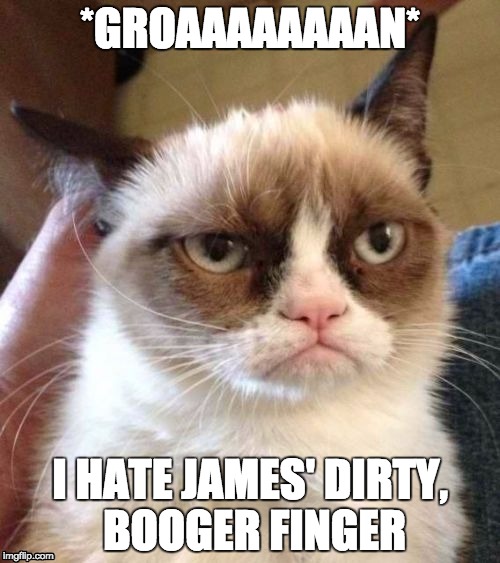 Grumpy Cat Reverse Meme | *GROAAAAAAAAN*; I HATE JAMES' DIRTY, BOOGER FINGER | image tagged in memes,grumpy cat reverse,grumpy cat | made w/ Imgflip meme maker