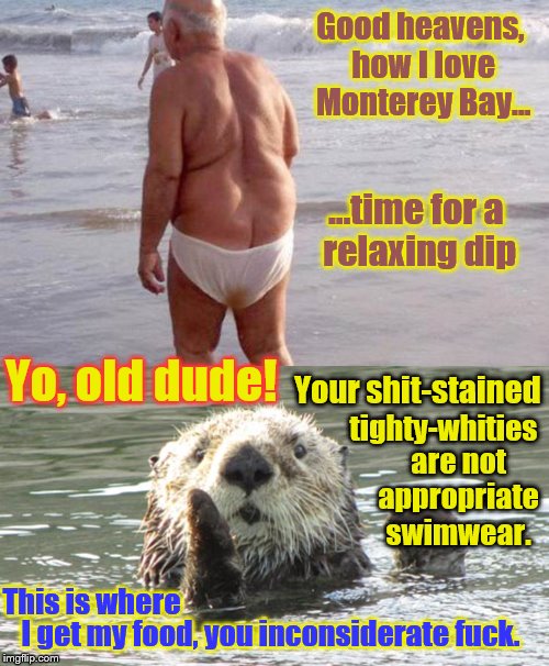 Well they're out there havin' fun, in the warm California sun | Good heavens, how I love Monterey Bay…; …time for a relaxing dip; Your shit-stained; Yo, old dude! tighty-whities; are not appropriate swimwear. This is where; I get my food, you inconsiderate fuck. | image tagged in memes,funny,phunny,otters,animals,nsfw | made w/ Imgflip meme maker