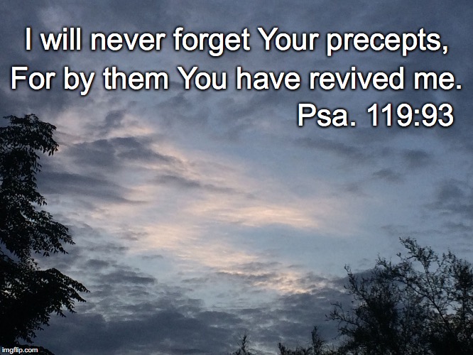 I will never forget Your precepts, For by them You have revived me. Psa. 119:93 | image tagged in precepts | made w/ Imgflip meme maker