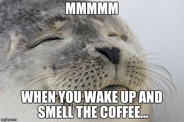 Satisfied Seal Meme | MMMMM; WHEN YOU WAKE UP AND SMELL THE COFFEE... | image tagged in memes,satisfied seal | made w/ Imgflip meme maker