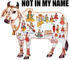 Holy Cow | NOT IN MY NAME | image tagged in holy cow | made w/ Imgflip meme maker
