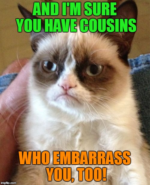 Grumpy Cat Meme | AND I'M SURE YOU HAVE COUSINS WHO EMBARRASS YOU, TOO! | image tagged in memes,grumpy cat | made w/ Imgflip meme maker