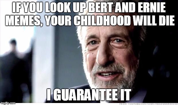 Sad and funny, but true! | IF YOU LOOK UP BERT AND ERNIE MEMES, YOUR CHILDHOOD WILL DIE; I GUARANTEE IT | image tagged in memes,i guarantee it,sesame street,childhood ruined | made w/ Imgflip meme maker