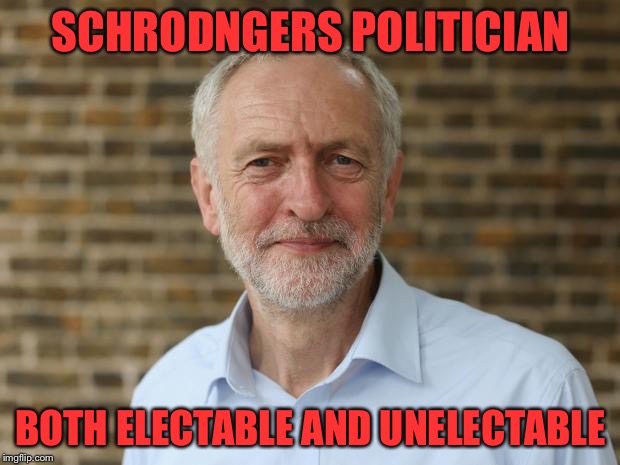 SCHRODNGERS POLITICIAN; BOTH ELECTABLE AND UNELECTABLE | image tagged in politicians,schrodingers cat | made w/ Imgflip meme maker