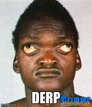 Derp | DERP | image tagged in wall eyed black man | made w/ Imgflip meme maker