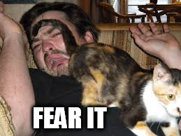 FEAR IT | made w/ Imgflip meme maker