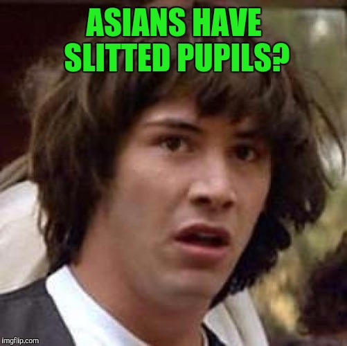 Conspiracy Keanu Meme | ASIANS HAVE SLITTED PUPILS? | image tagged in memes,conspiracy keanu | made w/ Imgflip meme maker