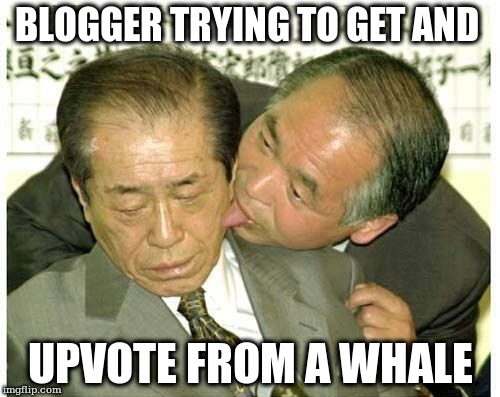 BLOGGER TRYING TO GET AND; UPVOTE FROM A WHALE | made w/ Imgflip meme maker
