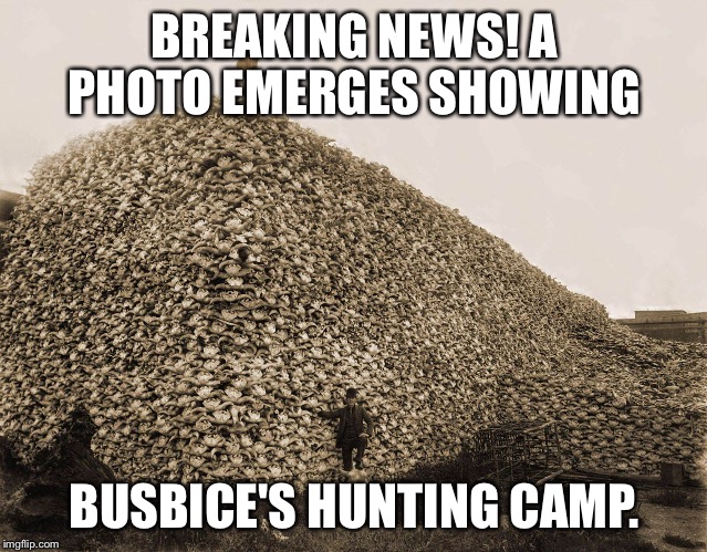 One to many | BREAKING NEWS! A PHOTO EMERGES SHOWING; BUSBICE'S HUNTING CAMP. | image tagged in elk | made w/ Imgflip meme maker