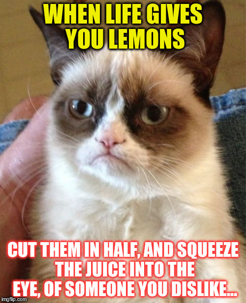 Hey, you! GFY! | WHEN LIFE GIVES YOU LEMONS; CUT THEM IN HALF, AND SQUEEZE THE JUICE INTO THE EYE, OF SOMEONE YOU DISLIKE... | image tagged in memes,grumpy cat | made w/ Imgflip meme maker