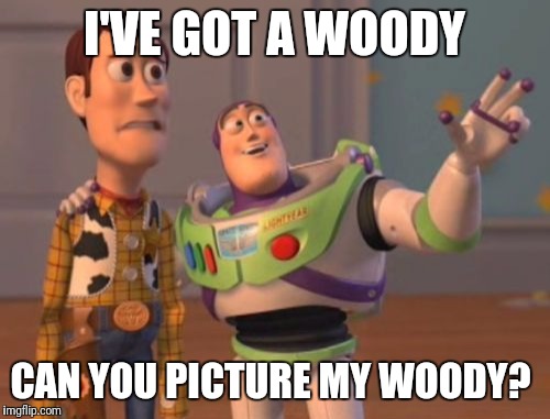 X, X Everywhere | I'VE GOT A WOODY; CAN YOU PICTURE MY WOODY? | image tagged in memes,x x everywhere | made w/ Imgflip meme maker