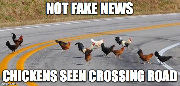 word up | NOT FAKE NEWS; CHICKENS SEEN CROSSING ROAD | image tagged in meme,cock,road,chickens,fake news | made w/ Imgflip meme maker