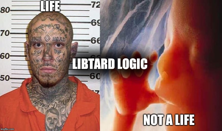 Liberal Logic 3 | LIFE; LIBTARD LOGIC; NOT A LIFE | image tagged in liberal logic 3 | made w/ Imgflip meme maker