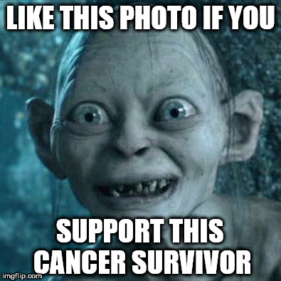 Is this going to far | LIKE THIS PHOTO IF YOU; SUPPORT THIS CANCER SURVIVOR | image tagged in memes,gollum | made w/ Imgflip meme maker