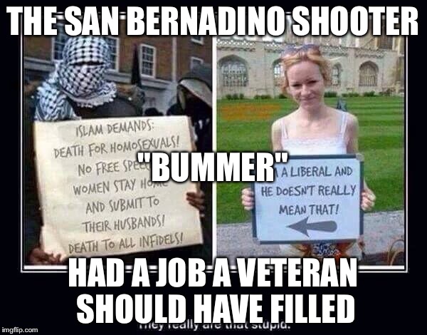THE SAN BERNADINO SHOOTER; "BUMMER"; HAD A JOB A VETERAN SHOULD HAVE FILLED | image tagged in liberals | made w/ Imgflip meme maker
