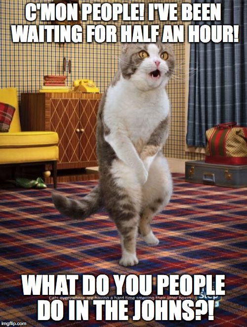 Gotta Go Cat | C'MON PEOPLE! I'VE BEEN WAITING FOR HALF AN HOUR! WHAT DO YOU PEOPLE DO IN THE JOHNS?! | image tagged in memes,gotta go cat | made w/ Imgflip meme maker