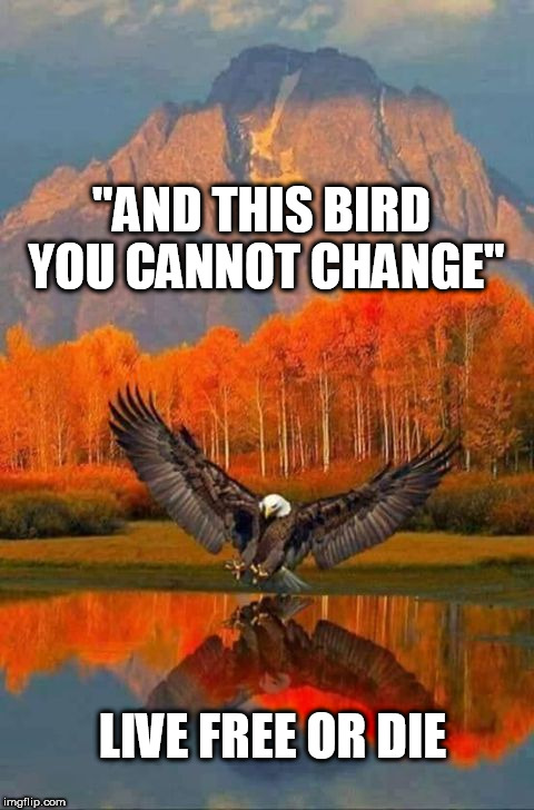 skynyrd | "AND THIS BIRD YOU CANNOT CHANGE"; LIVE FREE OR DIE | image tagged in patriotic eagle | made w/ Imgflip meme maker