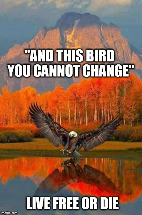 Patriotic Eagle | "AND THIS BIRD YOU CANNOT CHANGE"; LIVE FREE OR DIE | image tagged in patriotic eagle | made w/ Imgflip meme maker