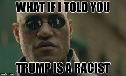 Matrix Morpheus Meme | WHAT IF I TOLD YOU; TRUMP IS A RACIST | image tagged in memes,matrix morpheus | made w/ Imgflip meme maker
