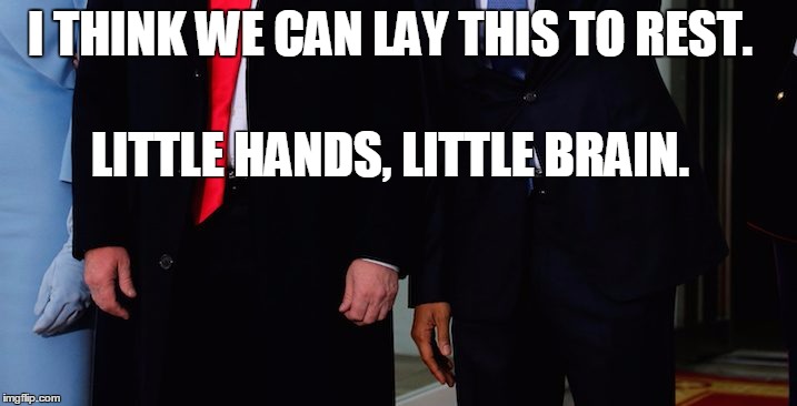Baby hands. | I THINK WE CAN LAY THIS TO REST. LITTLE HANDS, LITTLE BRAIN. | image tagged in donald trump,small hands,obama,donald trump small brain,not my president | made w/ Imgflip meme maker