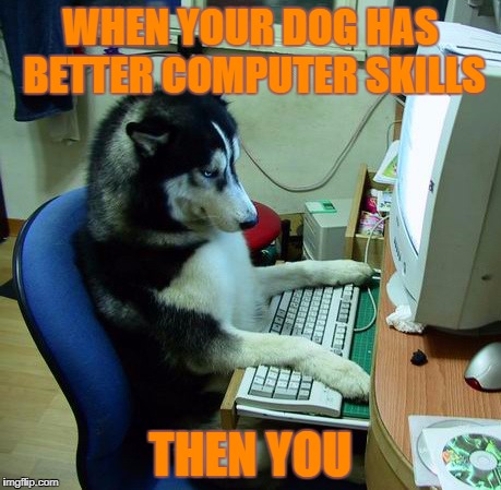 I Have No Idea What I Am Doing Meme | WHEN YOUR DOG HAS BETTER COMPUTER SKILLS; THEN YOU | image tagged in memes,i have no idea what i am doing | made w/ Imgflip meme maker