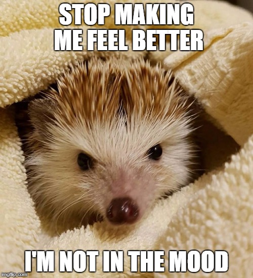 STOP MAKING ME FEEL BETTER; I'M NOT IN THE MOOD | image tagged in unimpressed phil | made w/ Imgflip meme maker