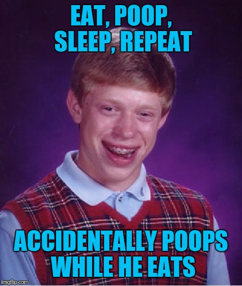 Bad Luck Brian Meme | EAT, POOP, SLEEP, REPEAT; ACCIDENTALLY POOPS WHILE HE EATS | image tagged in memes,bad luck brian | made w/ Imgflip meme maker