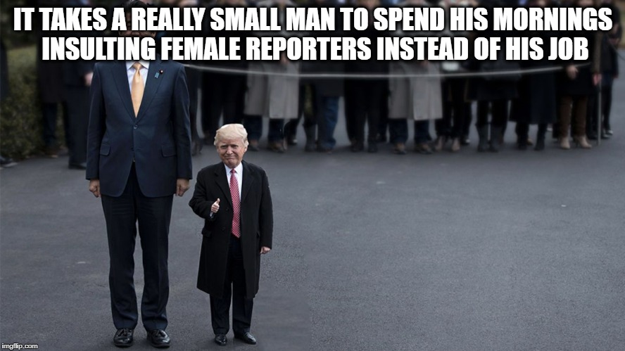 Little man, little hands | IT TAKES A REALLY SMALL MAN TO SPEND HIS MORNINGS INSULTING FEMALE REPORTERS INSTEAD OF HIS JOB | image tagged in donald trump | made w/ Imgflip meme maker