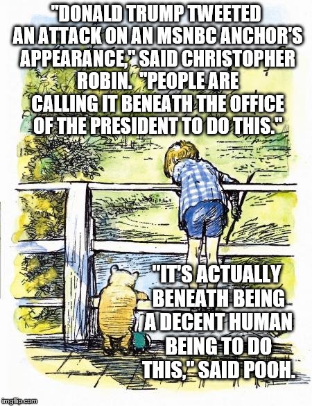 Pooh Sticks | "DONALD TRUMP TWEETED AN ATTACK ON AN MSNBC ANCHOR'S APPEARANCE," SAID CHRISTOPHER ROBIN.  "PEOPLE ARE CALLING IT BENEATH THE OFFICE OF THE PRESIDENT TO DO THIS."; "IT'S ACTUALLY BENEATH BEING A DECENT HUMAN BEING TO DO THIS," SAID POOH. | image tagged in pooh sticks | made w/ Imgflip meme maker
