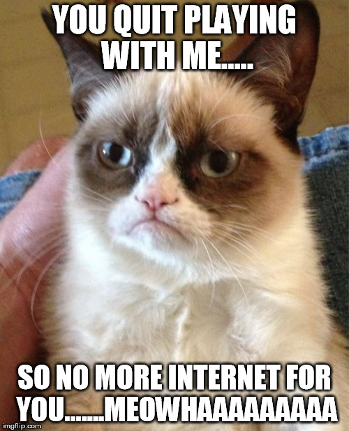 Grumpy Cat | YOU QUIT PLAYING WITH ME..... SO NO MORE INTERNET FOR YOU.......MEOWHAAAAAAAAA | image tagged in memes,grumpy cat | made w/ Imgflip meme maker