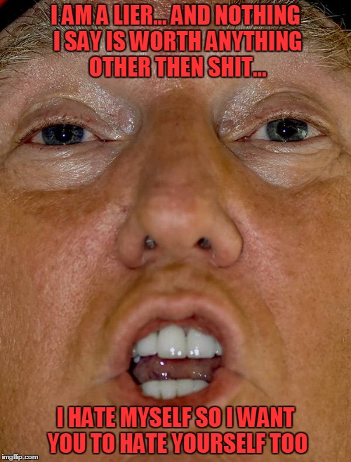 I AM A LIER... AND NOTHING I SAY IS WORTH ANYTHING OTHER THEN SHIT... I HATE MYSELF SO I WANT YOU TO HATE YOURSELF TOO | image tagged in hate,trump,lier | made w/ Imgflip meme maker